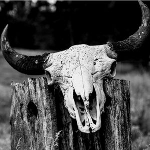 Meet your Posher, Kerri